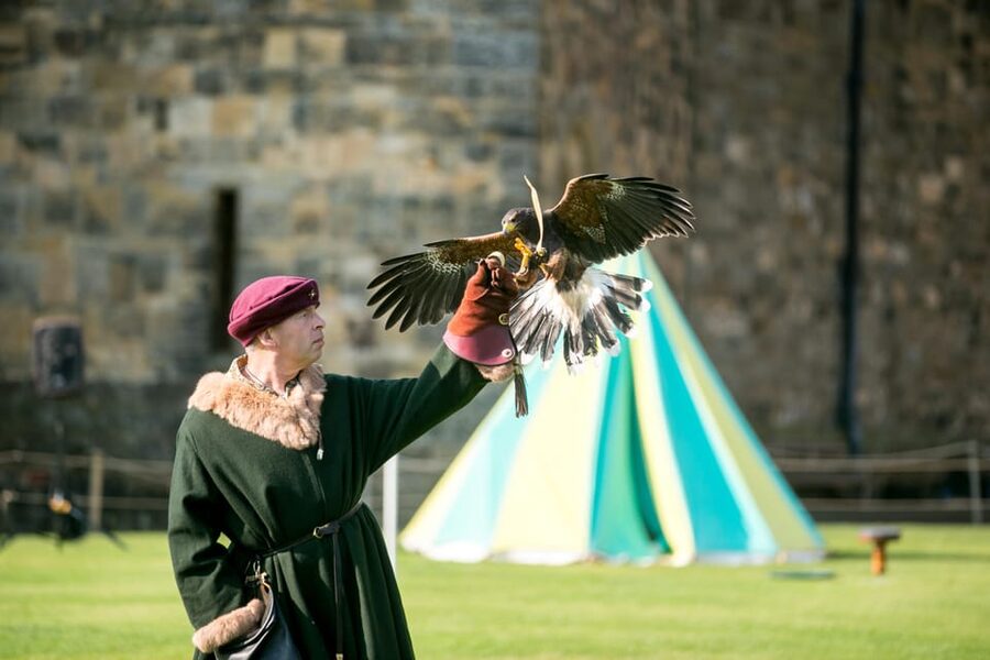 Alnwick: Alnwick Castle Ticket - Museums, exhibitions, and the Percy family behind the scenes