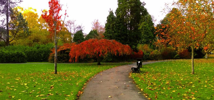 Bath : 2 Hour Historic Walking Tour With An App - Bath Assembly Rooms and the Jane Austen Centre: Social Life Meets Storytelling