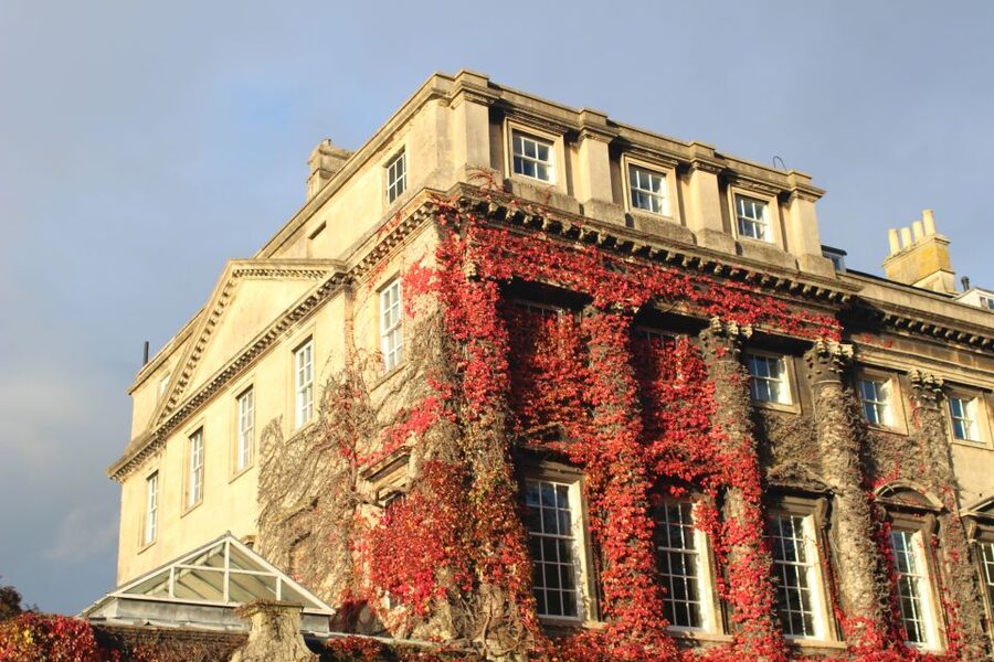 Bath: Bridgerton Filming Locations Walking Tour with Music - Pace, group size, and how to get comfortable quickly
