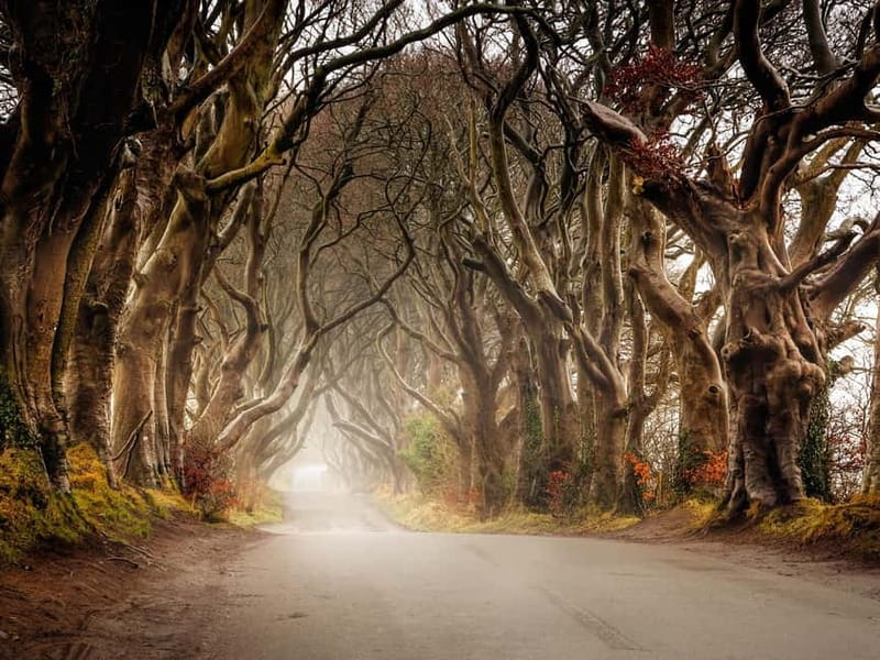 Belfast: Giant's Causeway Tour and 2-Day Open Top-Bus Tour - Morning Setup: 8:45 AM Start from Belfast City Hall