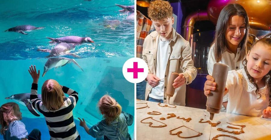 Birmingham: Cadbury World & SEA LIFE Birmingham - How to combine both on one day without stress