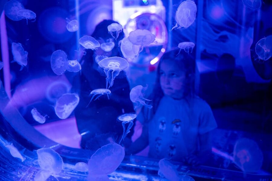 Birmingham: Cadbury World & SEA LIFE Birmingham - FAQ