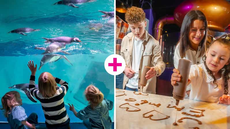 Birmingham: Cadbury World & SEA LIFE Birmingham - Freddo’s quest and the best way to work the day