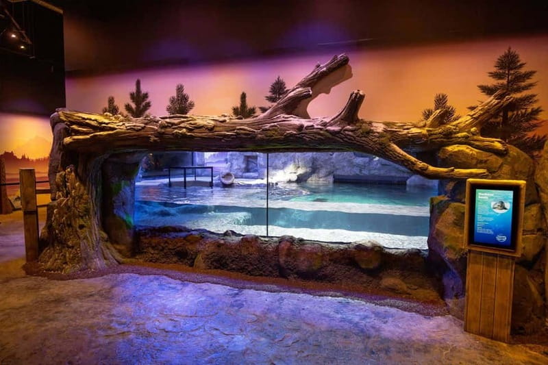 Birmingham: National Sea Life Centre Entrance Ticket - First stop at SEA LIFE Birmingham, what makes the ticket worth your time