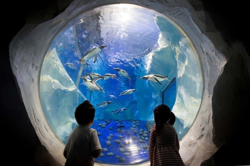 Birmingham: National Sea Life Centre Entrance Ticket - FAQ