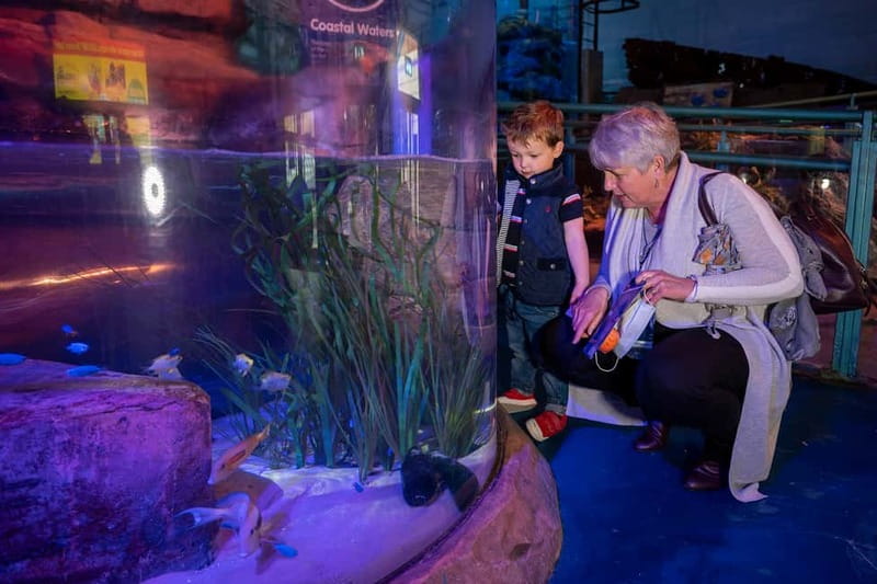 Birmingham: National Sea Life Centre Entrance Ticket - Price of around $25, when it feels like good value and when it doesn’t