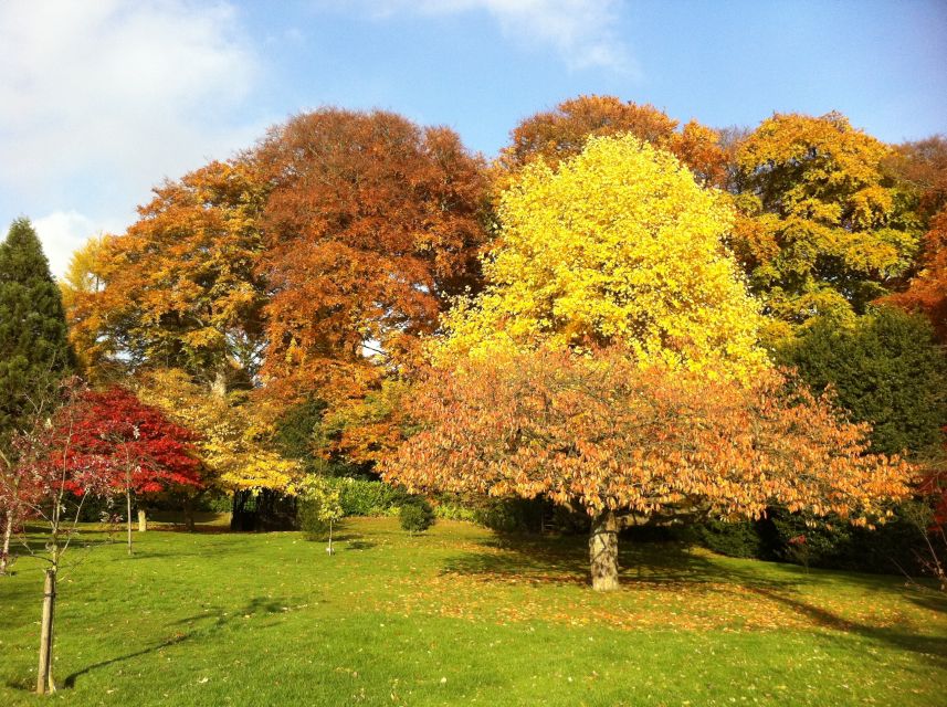 Birmingham: Winterbourne House and Garden Admission Ticket - A 7-Acre Garden Stroll Where 6000 Plants Actually Change the Mood