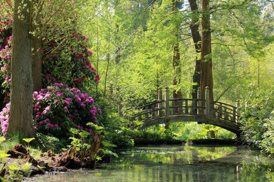 Birmingham: Winterbourne House and Garden Admission Ticket - Timed House Entry: How to Plan for the Best Mix of House and Gardens