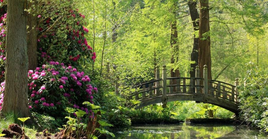 Birmingham: Winterbourne House and Garden Admission Ticket - Should You Book This Ticket for Winterbourne House and Garden?