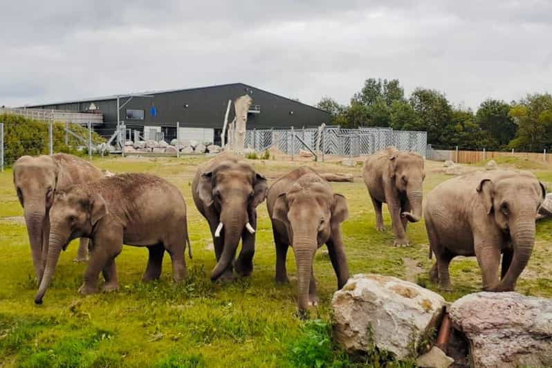 Blackpool: Zoo Admission Ticket - Key points before you go