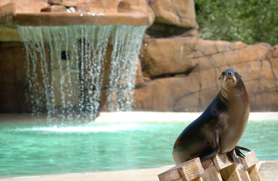 Blackpool: Zoo Admission Ticket - Project Elephant Base Camp: Asian elephants at a conservation-minded pace