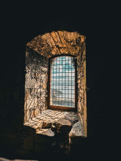 Boat trip and guided tour to Inchcolm Island - Key highlights worth knowing before you go