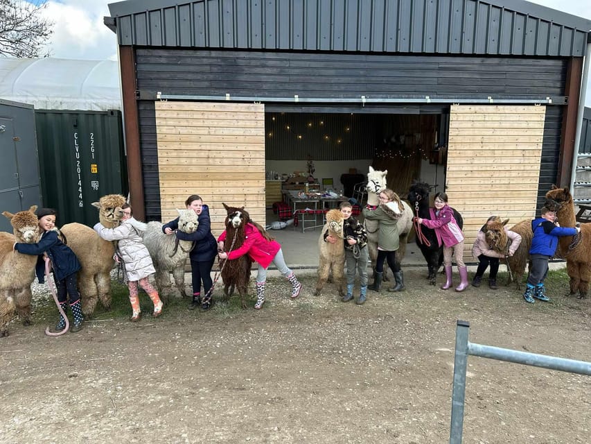 Brackenfield: Alpaca Trek - Who This Fits Best (and Who Should Skip)