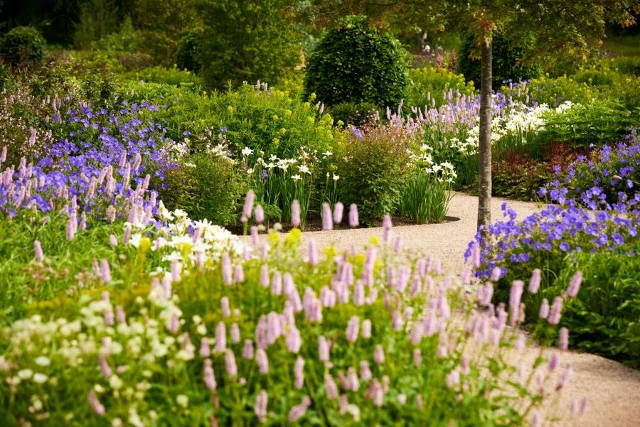 Bridgewater: Royal Horticultural Society Garden Ticket - Winding routes in Chinese Streamside Gardens