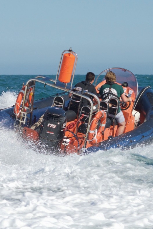 Brighton: Powerboat Ride - Price and value: is $60 for 30 minutes worth it?