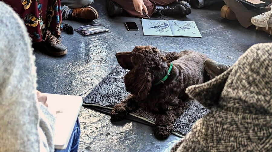 Bristol: Dog Life Drawing led by local Artist Cai Burton - Key highlights worth showing up for