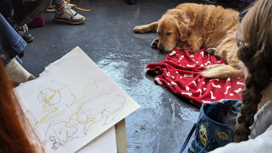 Bristol: Dog Life Drawing led by local Artist Cai Burton - Where it all happens: KIT FORM on Jamaica Street