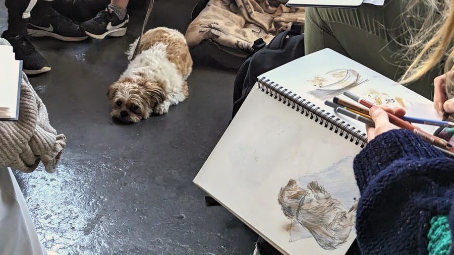 Bristol: Dog Life Drawing led by local Artist Cai Burton - The dog lineup and movement rules (and why they help)