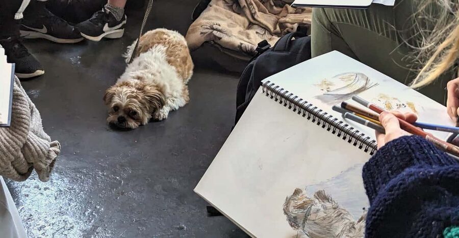 Bristol: Dog Life Drawing led by local Artist Cai Burton - Your sketching flow: warm ups, stations, and timed practice