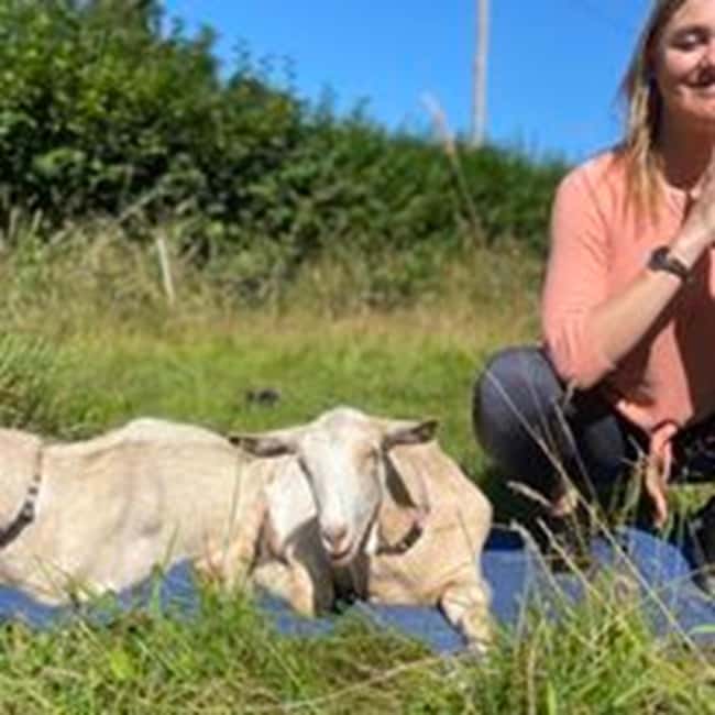 Canterbury: Yoga with Goats and Sheep - Hawes Farm and Canterbury, on a real Kent farm day