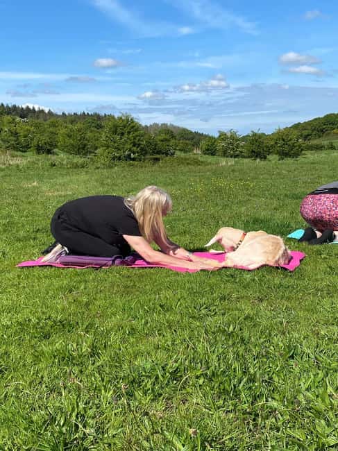 Canterbury: Yoga with Goats and Sheep - Who is Hannah, and why her care approach matters