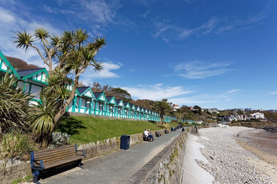 Cardiff: Golden Gower Coast, Swansea & Mumbles Day Tour - Pacing, group size, and transport comfort on an 8 hour day