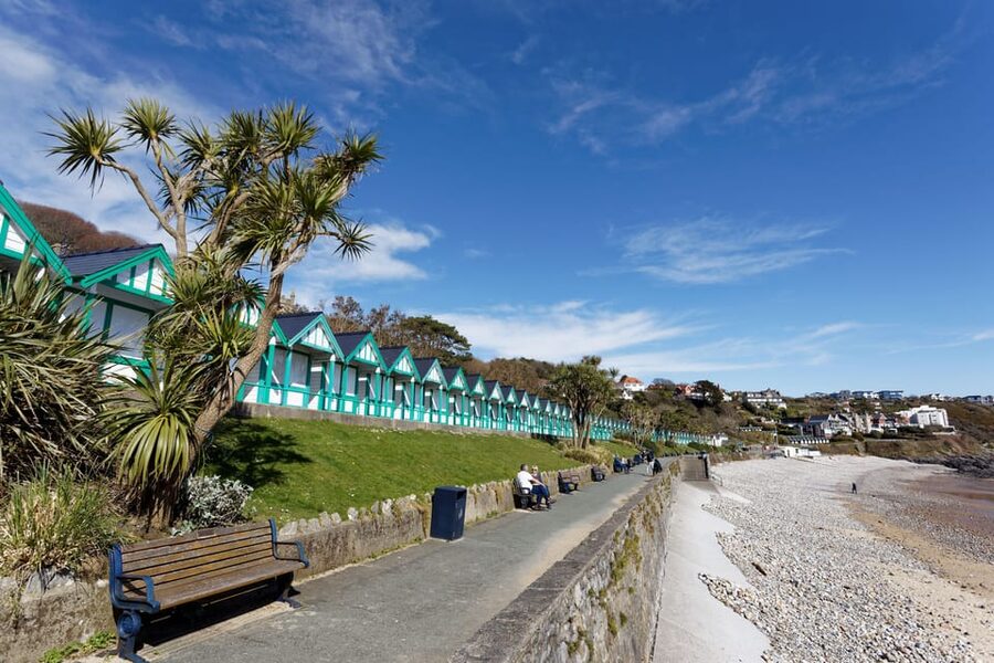 Cardiff: Gower Peninsula's Cliffs Scenic Day Tour - Comfort and Safety: What the Van Experience Really Means