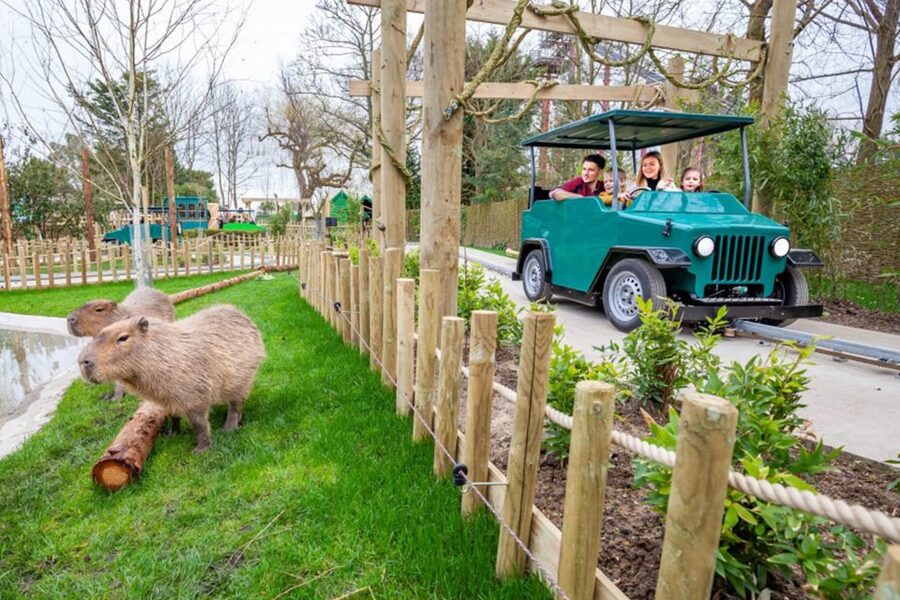 Chessington World of Adventures Resort: Entrance Ticket - 10 Themed Lands: How to Rotate Without Losing Your Energy