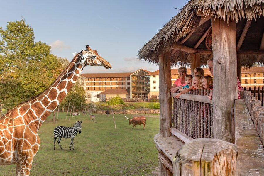 Chessington World of Adventures Resort: Entrance Ticket - Mandrill Mayhem Time Slot Tip: Preventing a Big Letdown