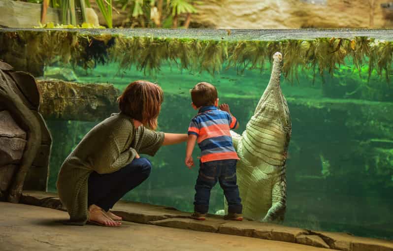 Chester: Chester Zoo Entry Ticket - Key things that make this Chester Zoo ticket special