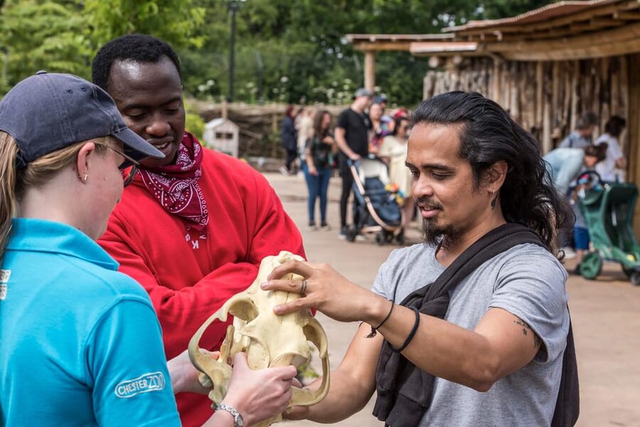 Chester: Chester Zoo Entry Ticket - Himalayan snow leopards and the power of habitat design