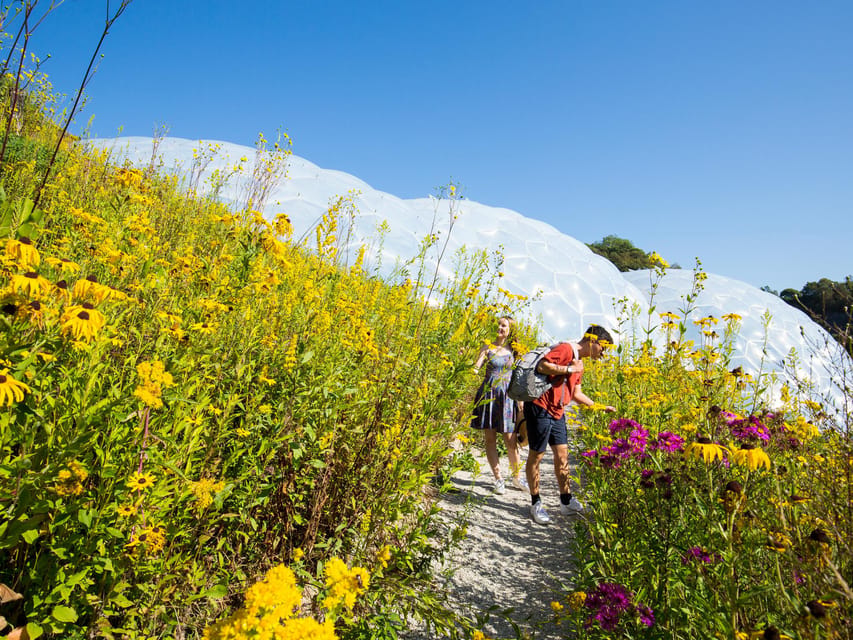 Cornwall: Eden Project Entry Ticket - Who Should Book Eden Project Tickets in Cornwall?