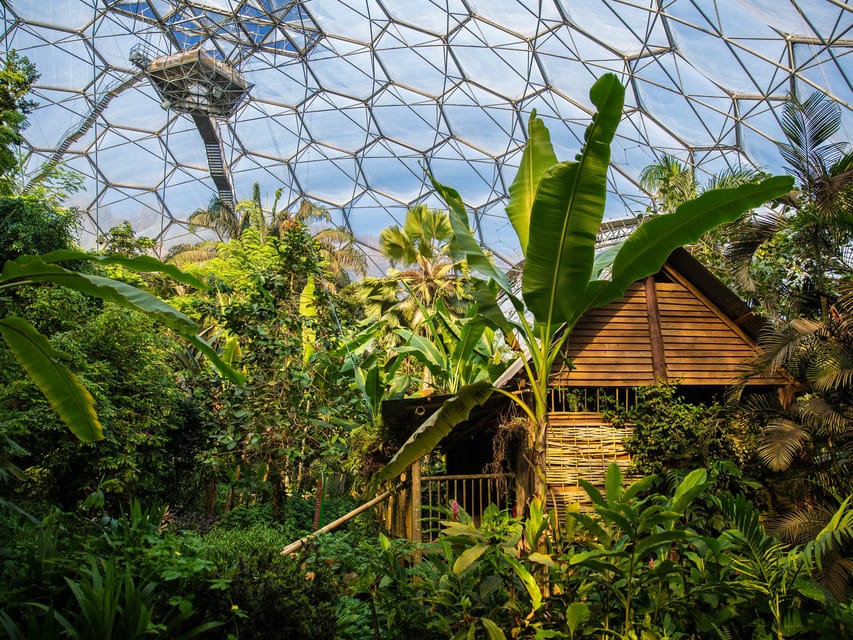 Cornwall: Eden Project Entry Ticket - A Practical Game Plan for Your 4+ Hour Visit