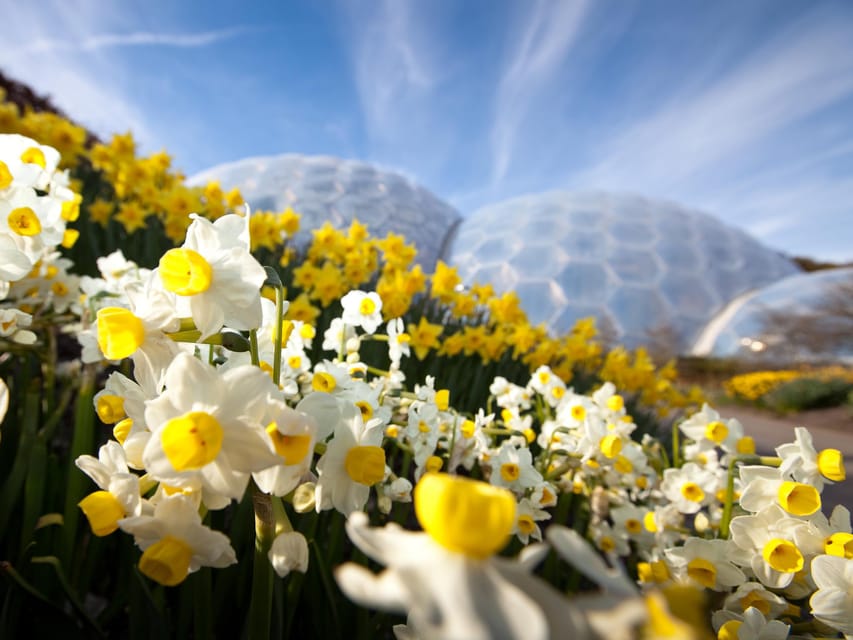 Cornwall: Eden Project Entry Ticket - Food, Drinks, and Seating: Expect Pricing, Plan Around Lines