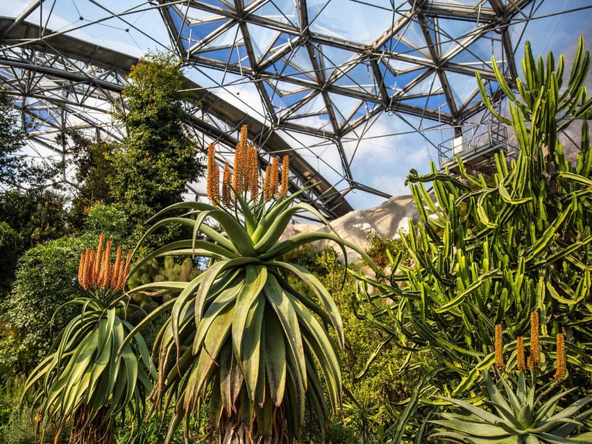 Cornwall: Eden Project Entry Ticket - Accessibility and Getting Around: Wheelchair Accessible, But Walking Still Counts