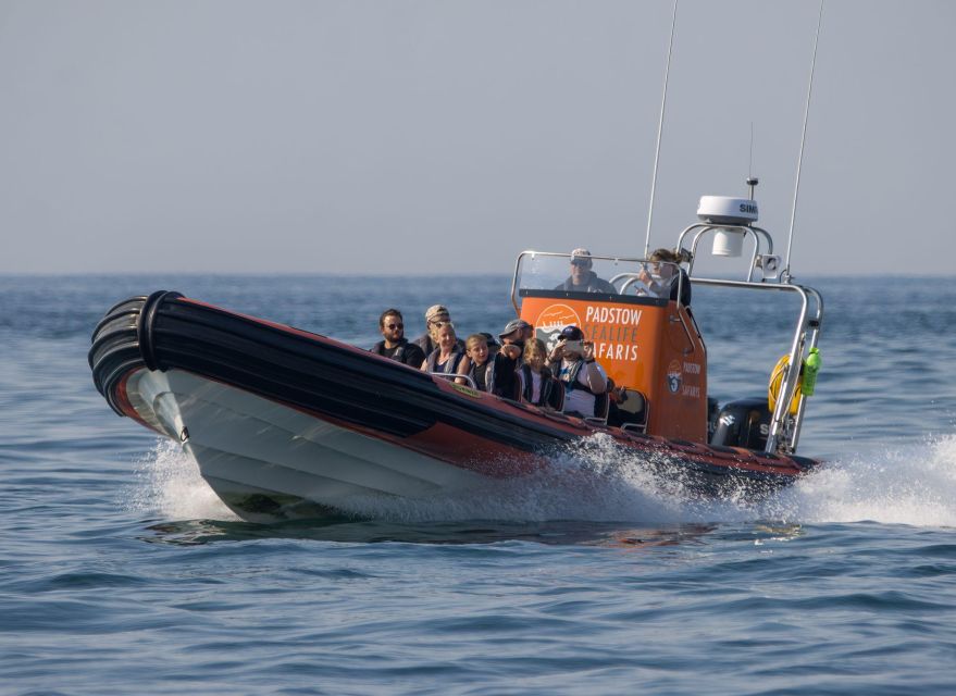Cornwall: Guided Seal Safari by Boat - Offshore Islands If Conditions Allow: The Bonus Loop