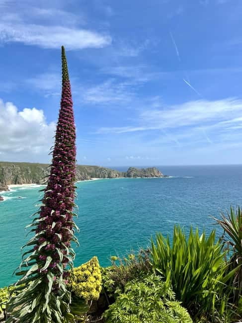 Cornwall: Private Guided Tour - Price and value: $775 for up to 6 people