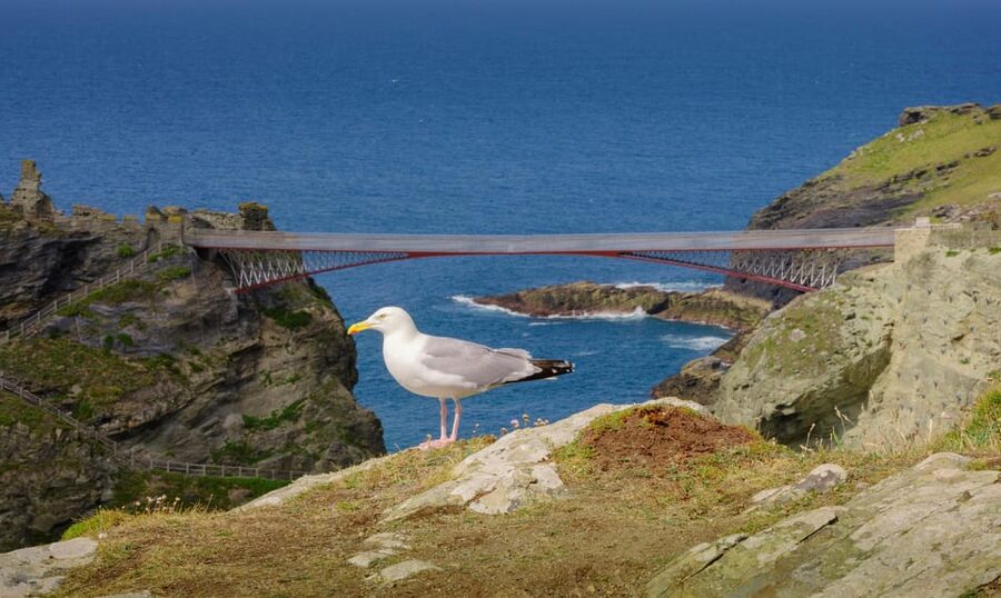Cornwall: Tintagel Castle Entry Ticket - Merlin’s Cave and the Beach: Timing It With Low Tide