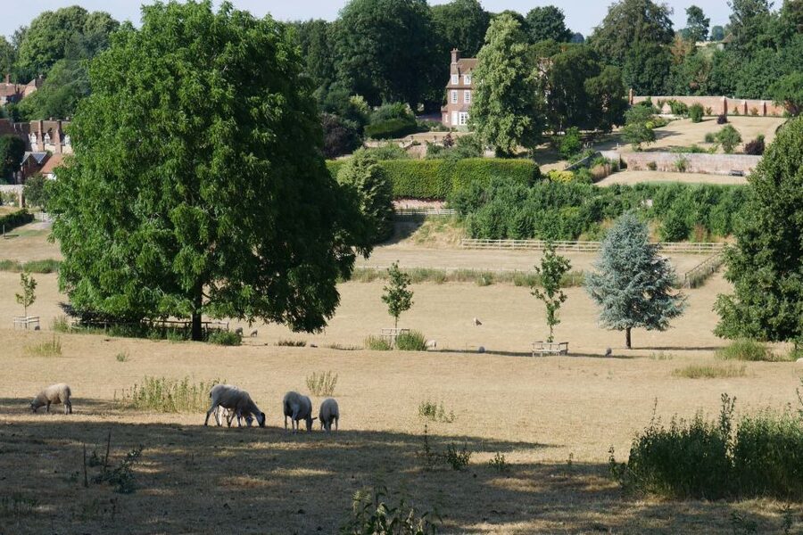 Day-Tour of the Midsomer Murders Locations - Guides Make or Break a Location Tour