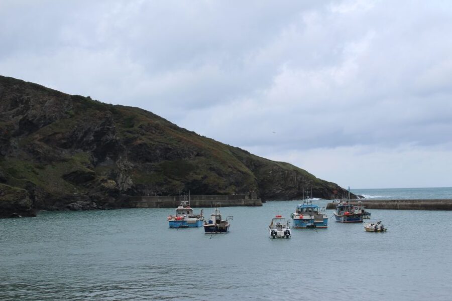 Doc Martin Tour - Port Isaac to Portwenn: why this walking tour is worth your time