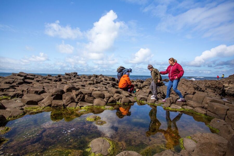 Dublin: Belfast (Titanic or Taxi), Dunluce & Causeway Trip - Dunluce Castle Ruins Above the Atlantic, Why 30 Minutes Works