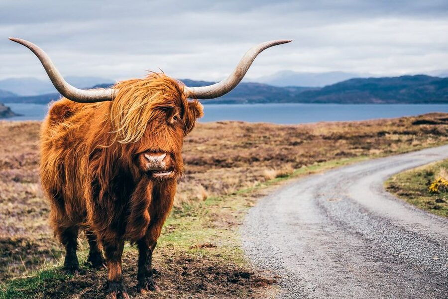 Edinburgh: 3-Day Isle of Skye, Highlands, and Loch Ness Tour - Fort William, Ben Nevis Photo Time, and the Highland Reality Check