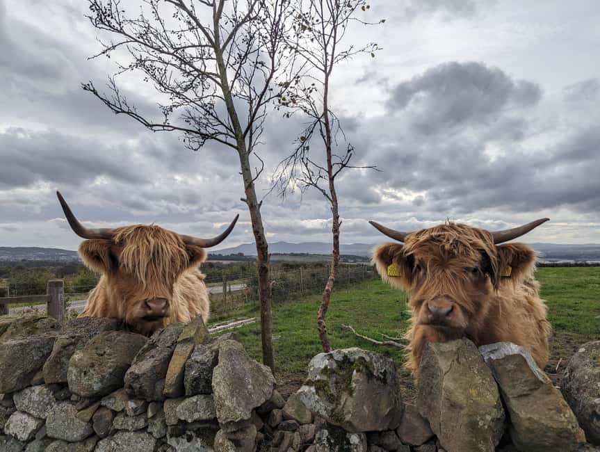 Edinburgh: Harry Potter, Glenfinnan & Highlands Private Tour - Key highlights worth marking on your map