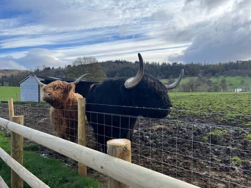 Edinburgh: Kelpies, Stirling Castle & Loch Lomond - A nine-hour Edinburgh day trip with big variety and real time on stops