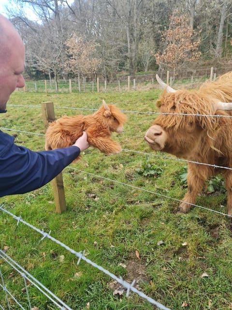 Edinburgh: Loch Ness, Glencoe, Coos & the Highlands Day Tour - Who this tour suits best