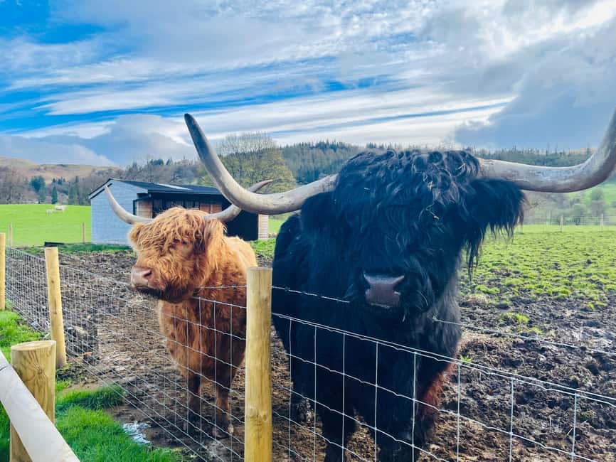 Edinburgh: Loch Ness, Glencoe & The Highlands - Key highlights to know before you go