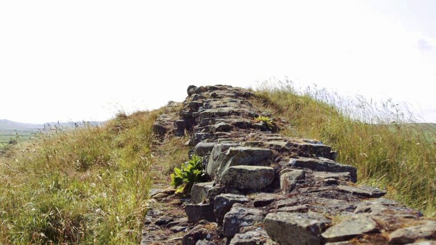 Edinburgh: Rosslyn Chapel and Hadrian's Wall Tour in Spanish - Price and value: $70 for transport plus guided context