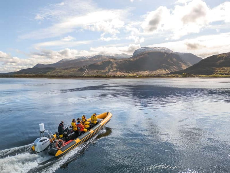 Fort William: 1hr Loch Safari Speedboat Tour - Key highlights worth planning around