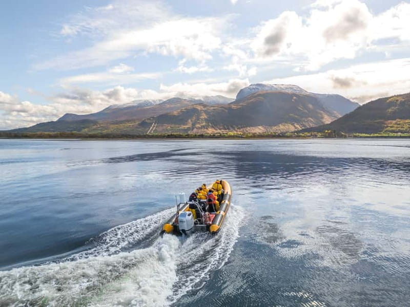 Fort William: 1hr Loch Safari Speedboat Tour - Fort William and Loch Linnhe, from the speedboat window