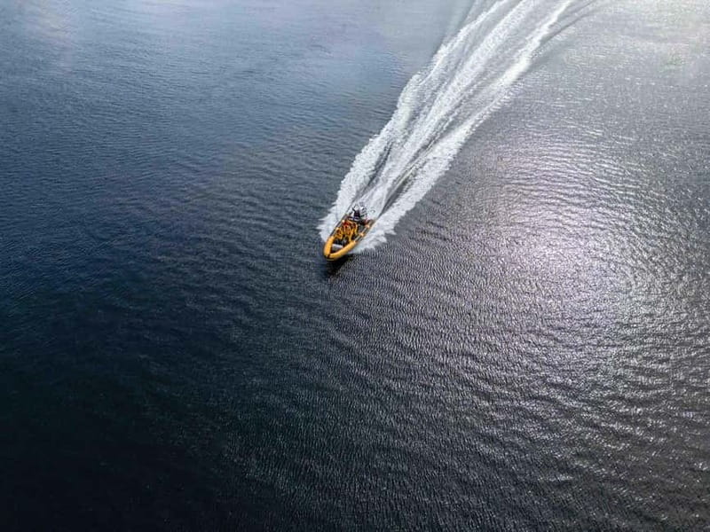 Fort William: 1hr Loch Safari Speedboat Tour - What $47 gets you, and why value here is more than the ticket